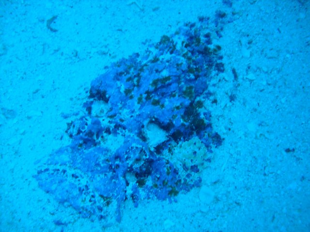 dscn0357